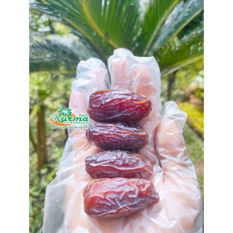 

kurma medjol palestine 1 kg
