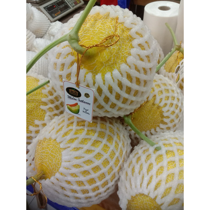 

melon premium | melon manis buah melon manis | buah melon inthanon