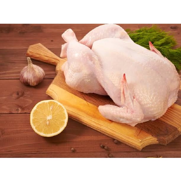 

Terbaru AYAM KARKAS 5 6 AYAM BROILER AYAM FROZEN AYAM POTONG 5gr 6gr