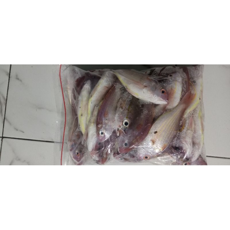 

ikankrisi