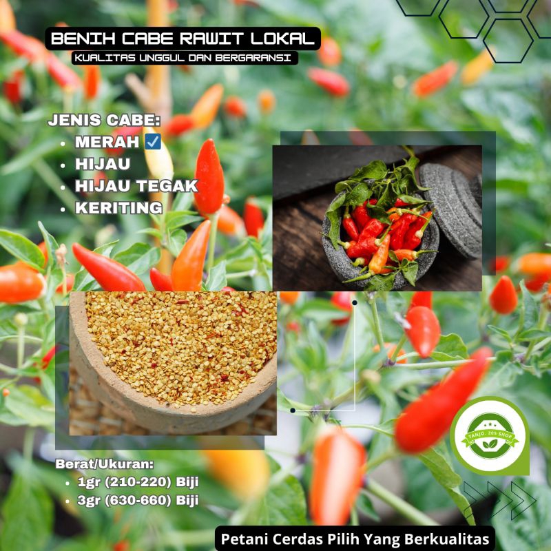 5 Gram Bibit/Benih Cabe Rawit Merah  Berkualitas Asli Daerah Naringgul ( Daerah Gunung) Juaranya Ben
