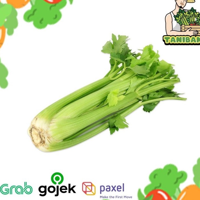 

Ready Stok HARGA 1KG Celery Stick import Seledri Stik importkualitas PREMIUM dan FRESH