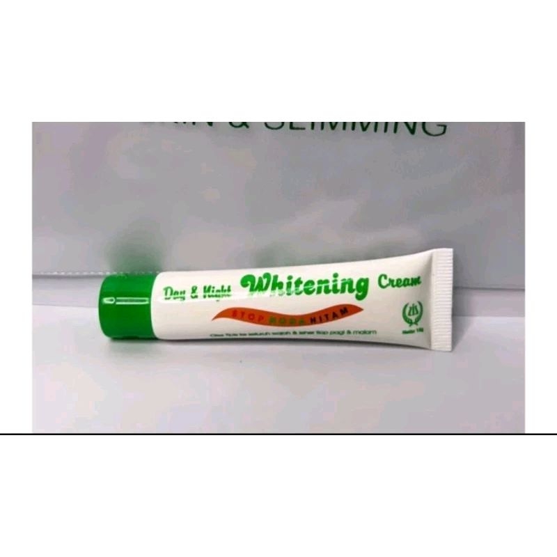 LIZ SKINCARE Salep Day& Night Cream Dr Lis BPOM original