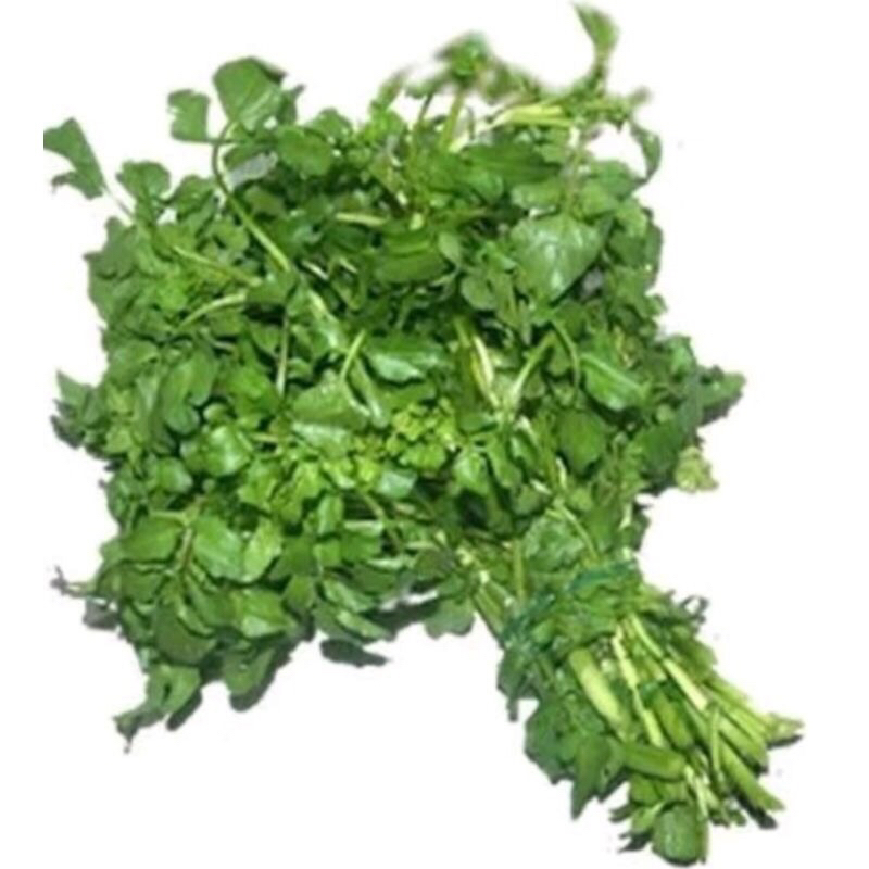 

selada air segar 1 ikat