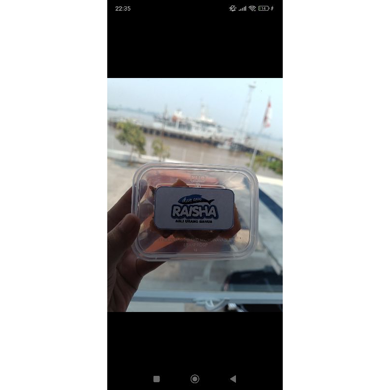 

ikan asin raisha