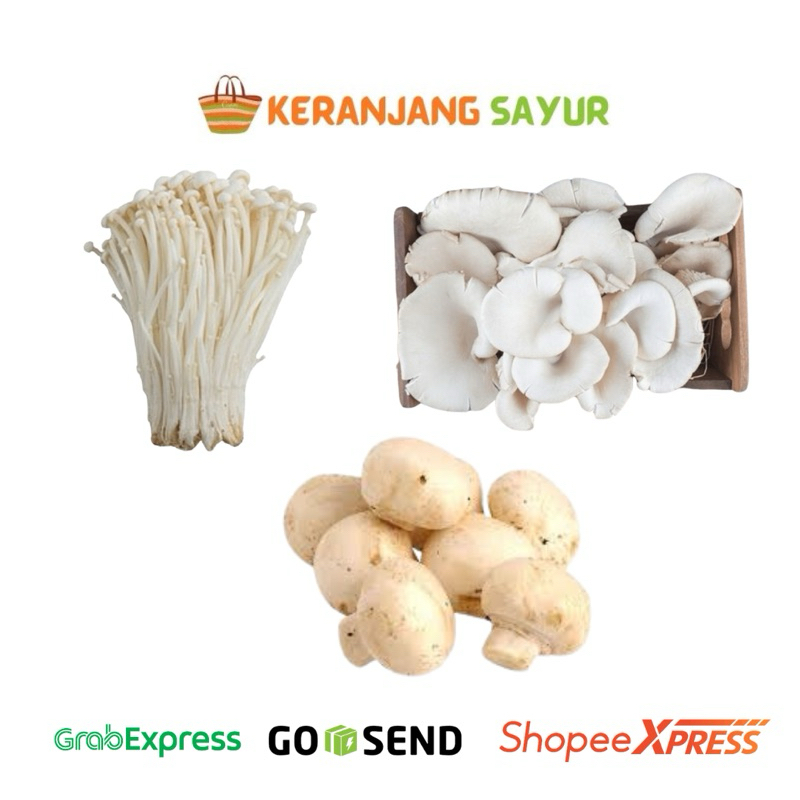 

Jamur Fresh | Jamur Tiram | Jamur Enoki | Jamur Kancing