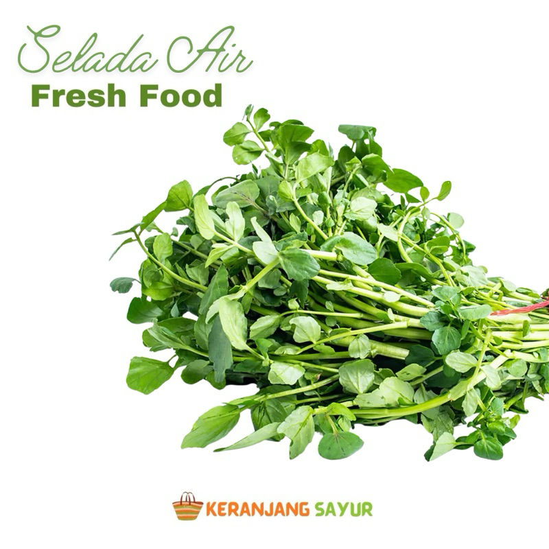 

Selada Air | Jukut 1 Ikat