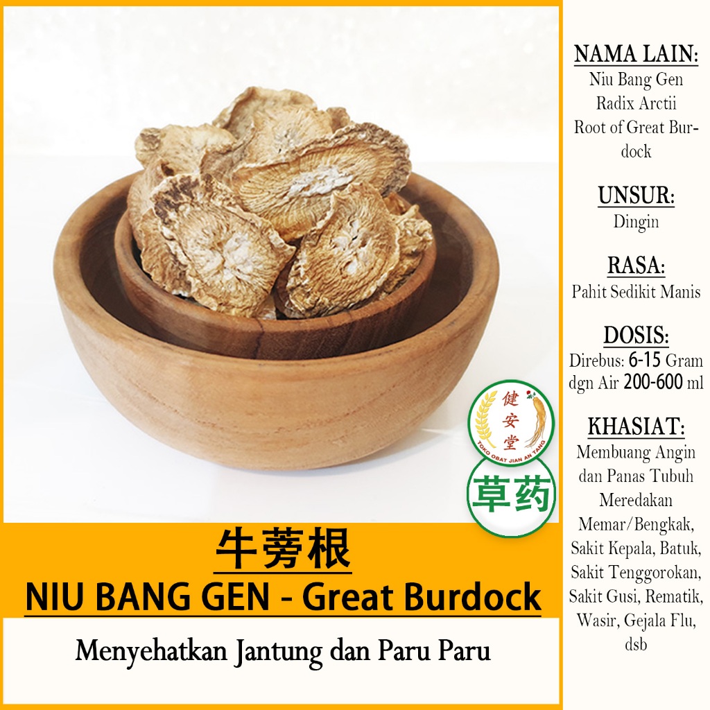 

NIU BANG GEN - Root of the Great Burdock - Radix Arctii [牛蒡根] Herbal TCM Per 100 Gram u.Buang Angin dan Panas Tubuh