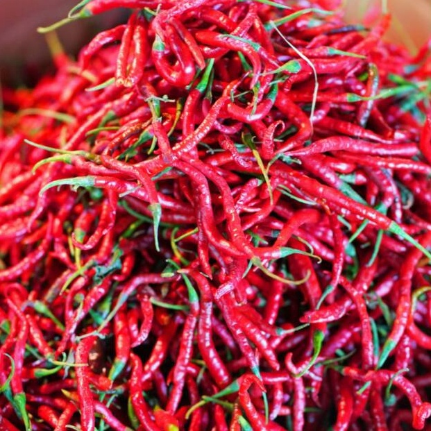 

New Mart Cabe Cabai Merah Keriting 5 gr
