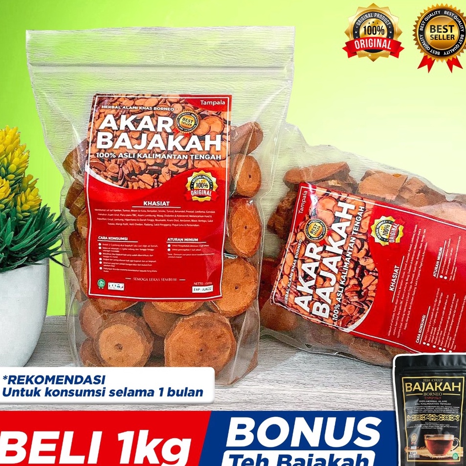 

Lagi Promo TERLARIS 1Kg Akar Kayu BAJAKAH TAMPALA MERAH Siap Seduh Obat Tumor dan Kanker 1 ORIGINAL Asli Kalimantan BONUS 1BUNGKUS Teh BAJAKAH