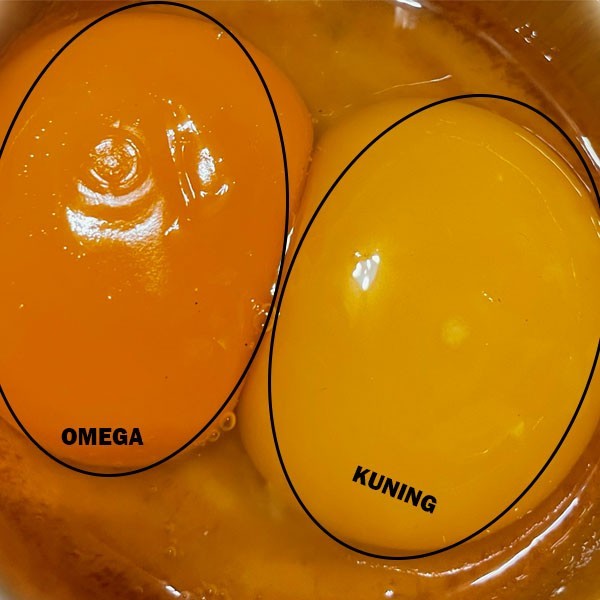 

RB [Grade A] Telur Ayam Kampung Omega 30 Butir Ukuran Besar