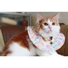 Pet Collar / Collar kucing anjing / pelindung leher