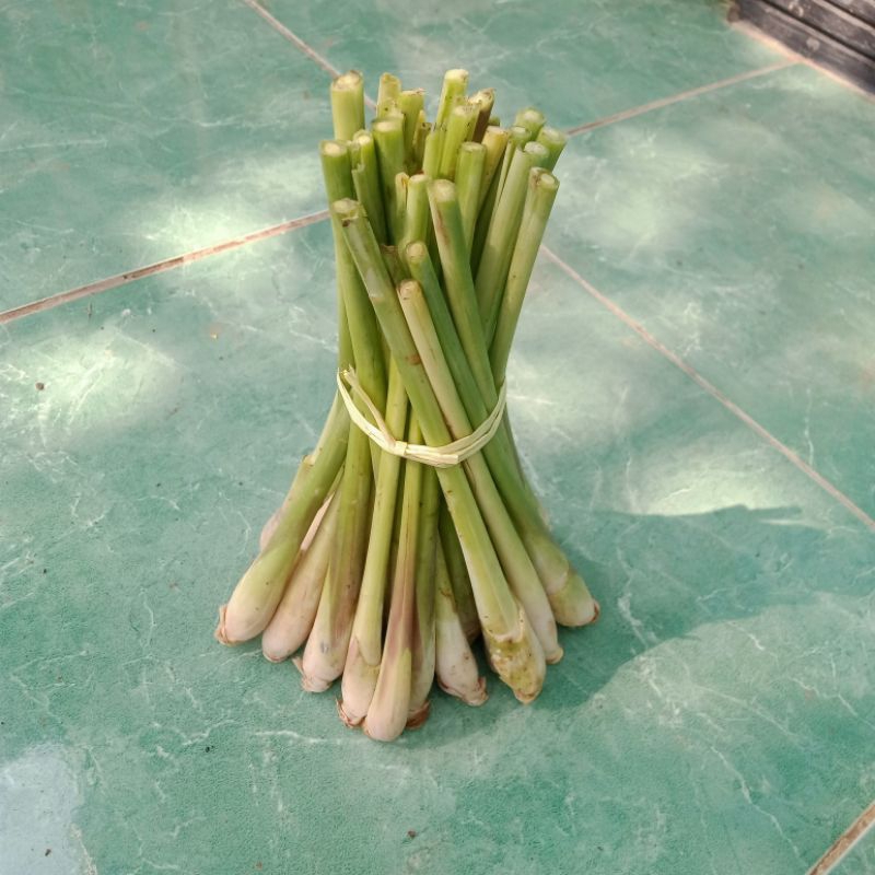 

Sereh Bumbu Bersih Tak Berkulit 25 Pohon .