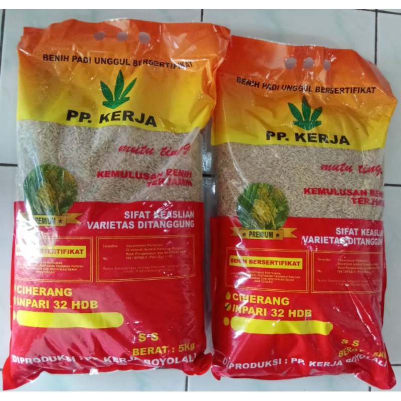 BIBIT PADI INPARI 32 PREMIUM 5KG