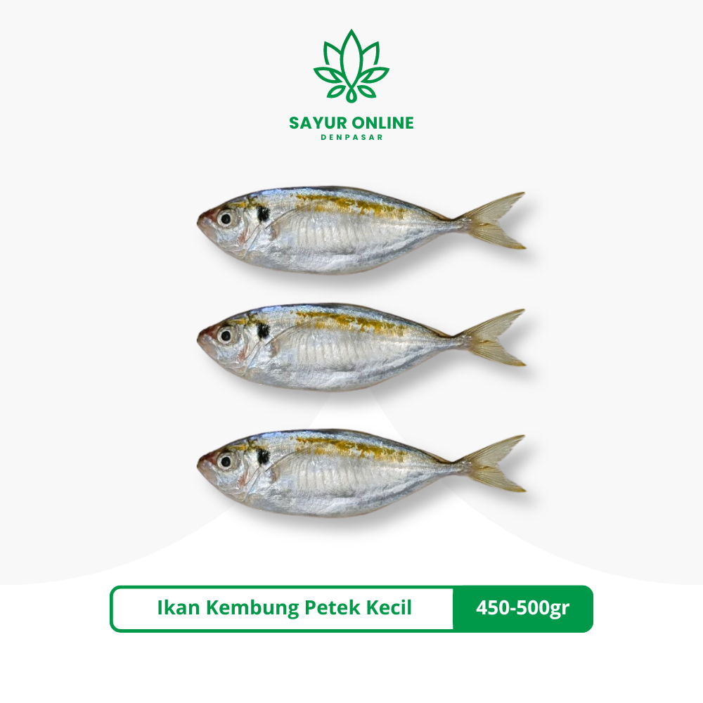 

Ikan Kembung Petek Kecil Fresh Frozen 450-500gr - Sayur Online Denpasar