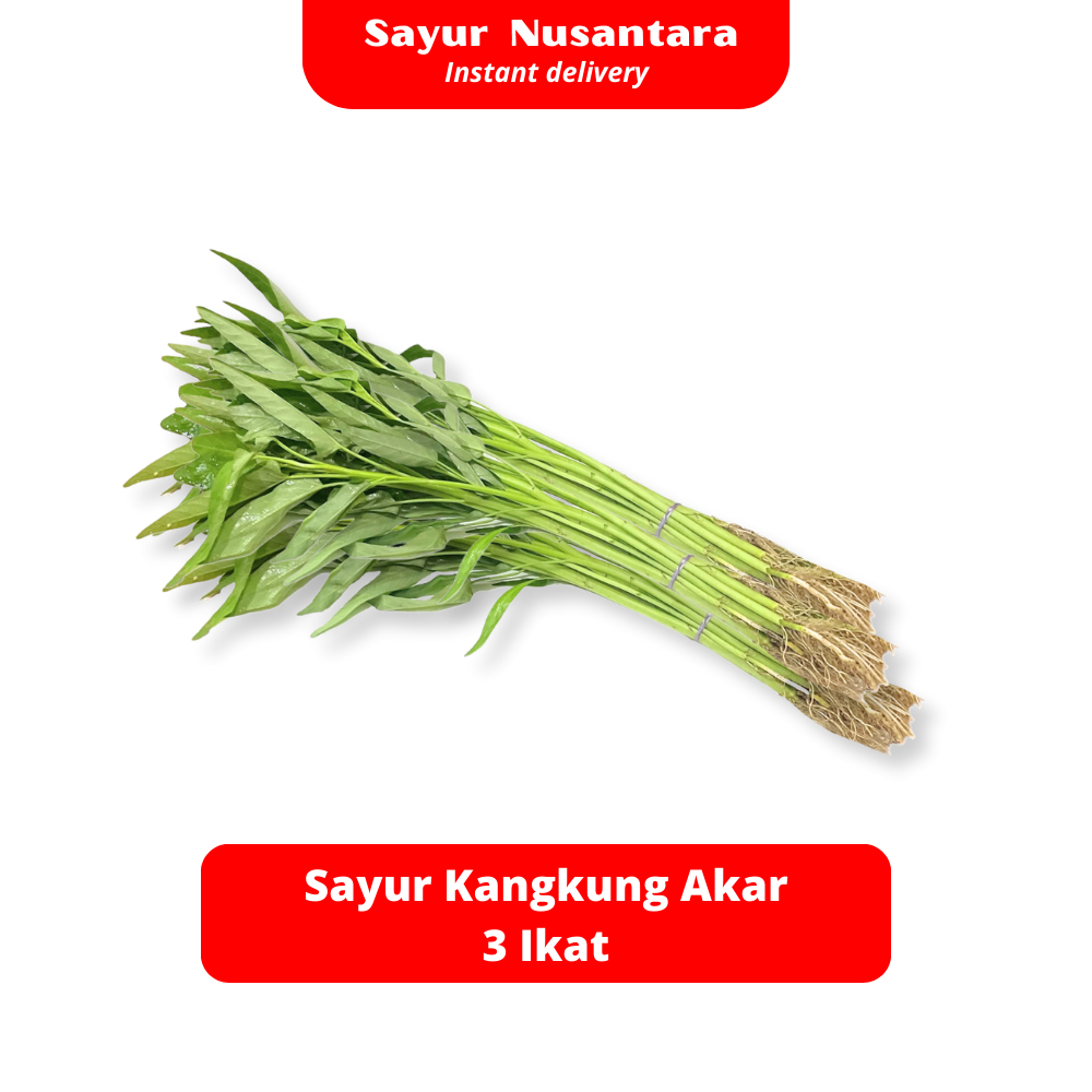 

Sayur Kangkung Akar 3 Ikat - Sayur Nusantara