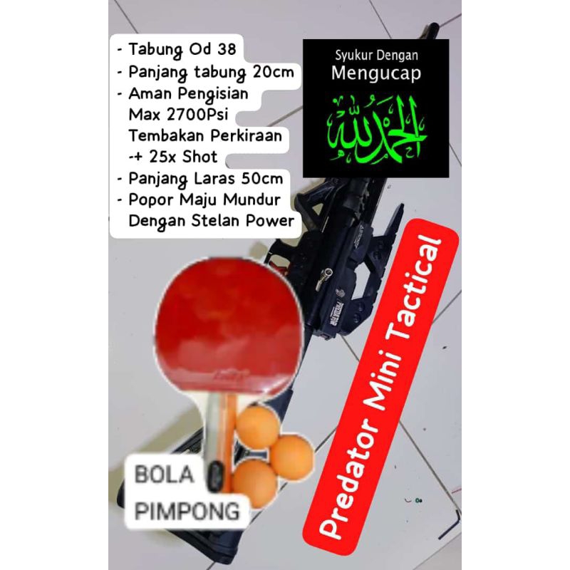 Alat Olahraga Bola Pimpong PredatorMini