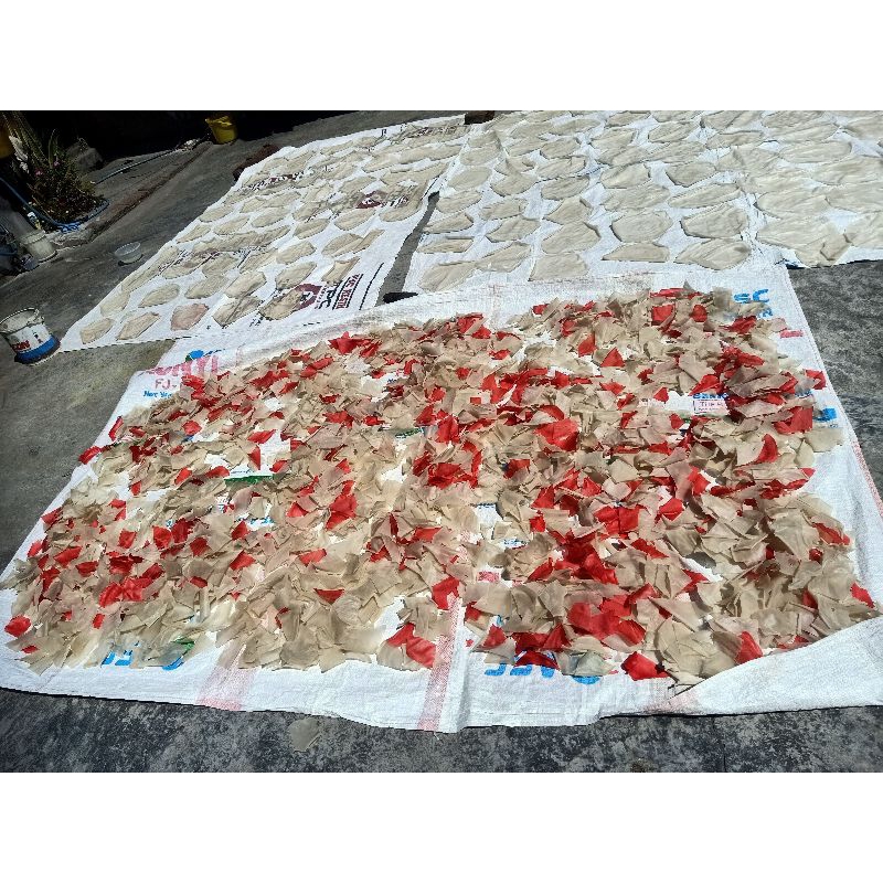 

kerupuk Beras masakan Khas Nganjuk