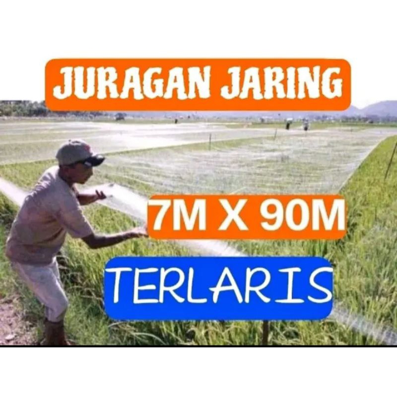 jaring burung sawah, burung emprit