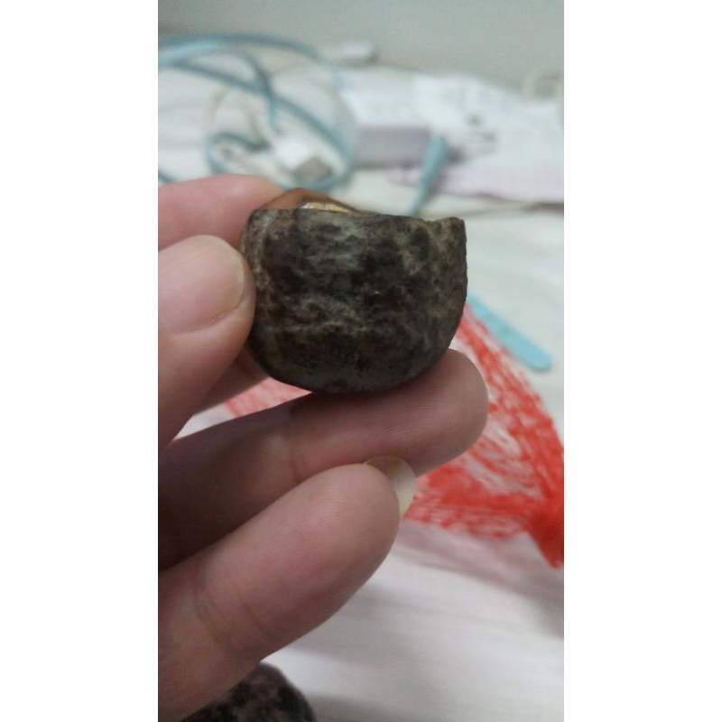 muncang adu yanti denpom