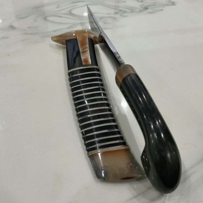 gocil full tanduk kombinasi bule & hitam