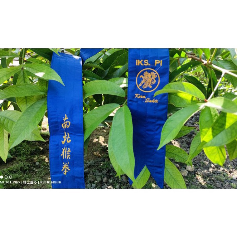 KODE A7S3 Sabuk biru IKSPI kera sakti bordir