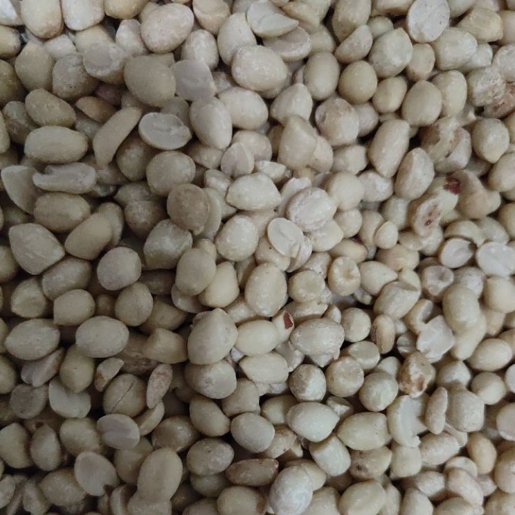 

Official Shop kacang kupas mentah KECIL UK 6171 Berat 1 kg 1gr