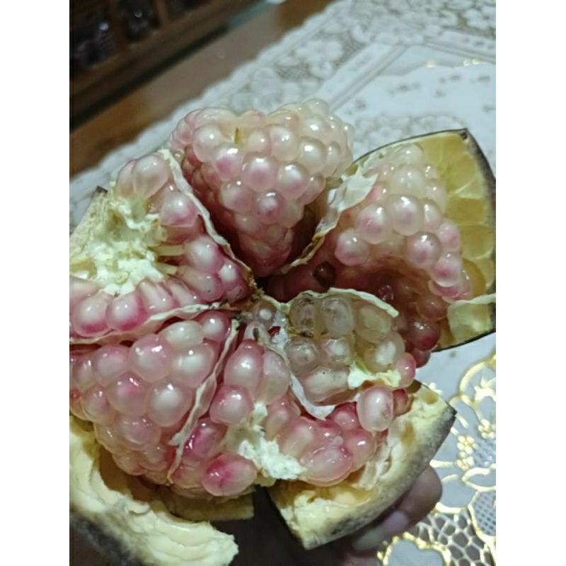

delima lokal perbiji 100__300gr