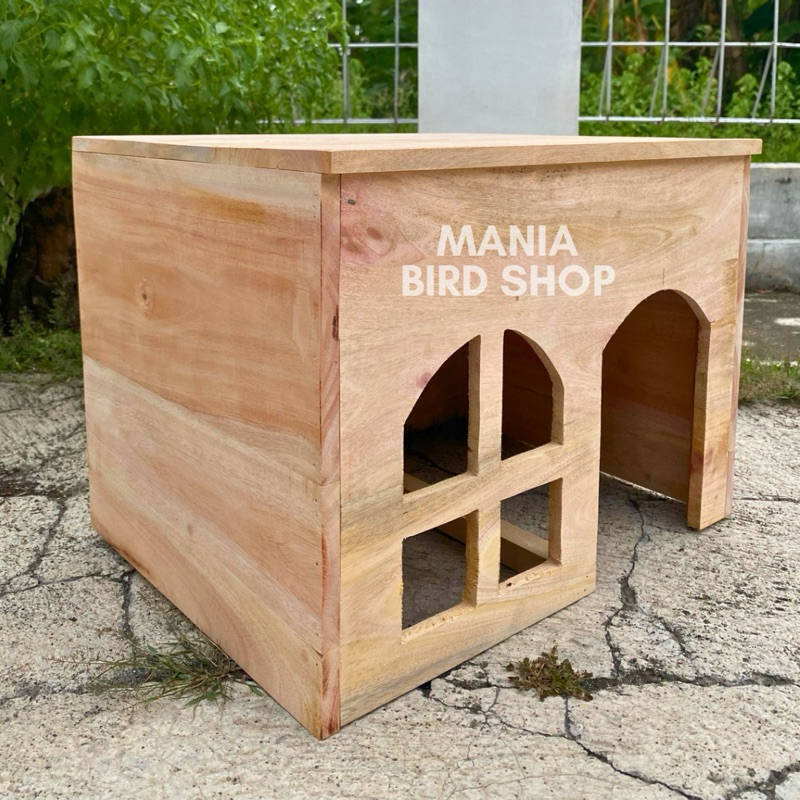 Rumah kucing atap datar kayu jendela