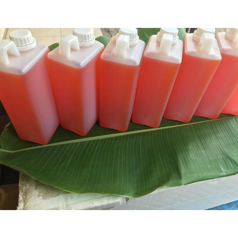 

minyak ikan salmon murni 1 1liter