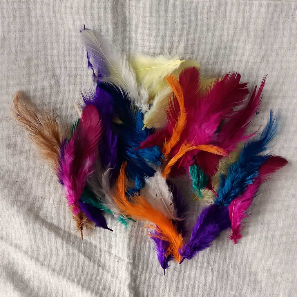 BULU AYAM WARNA WARNI KETERAMPILAN UNTUK PRAKARYA (ISI 30)