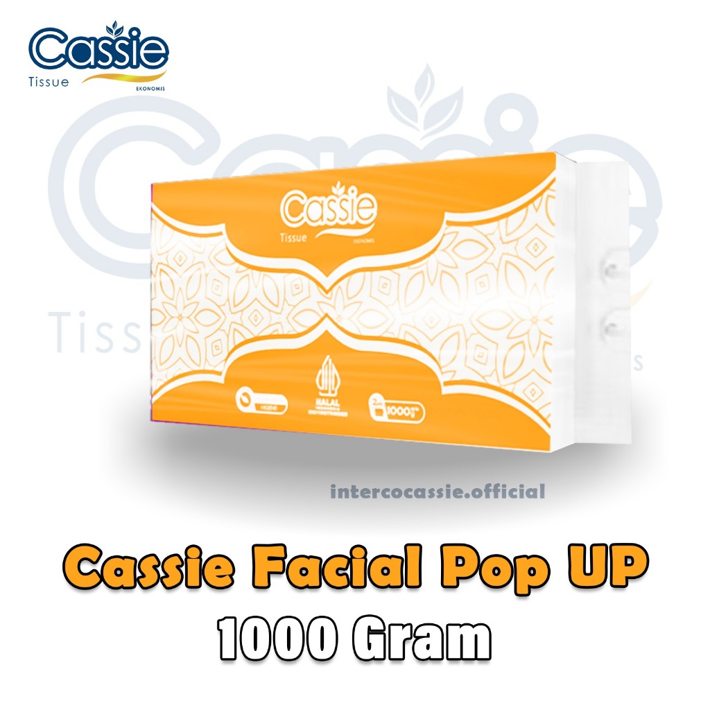 CASSIE POP UP 1000 GR