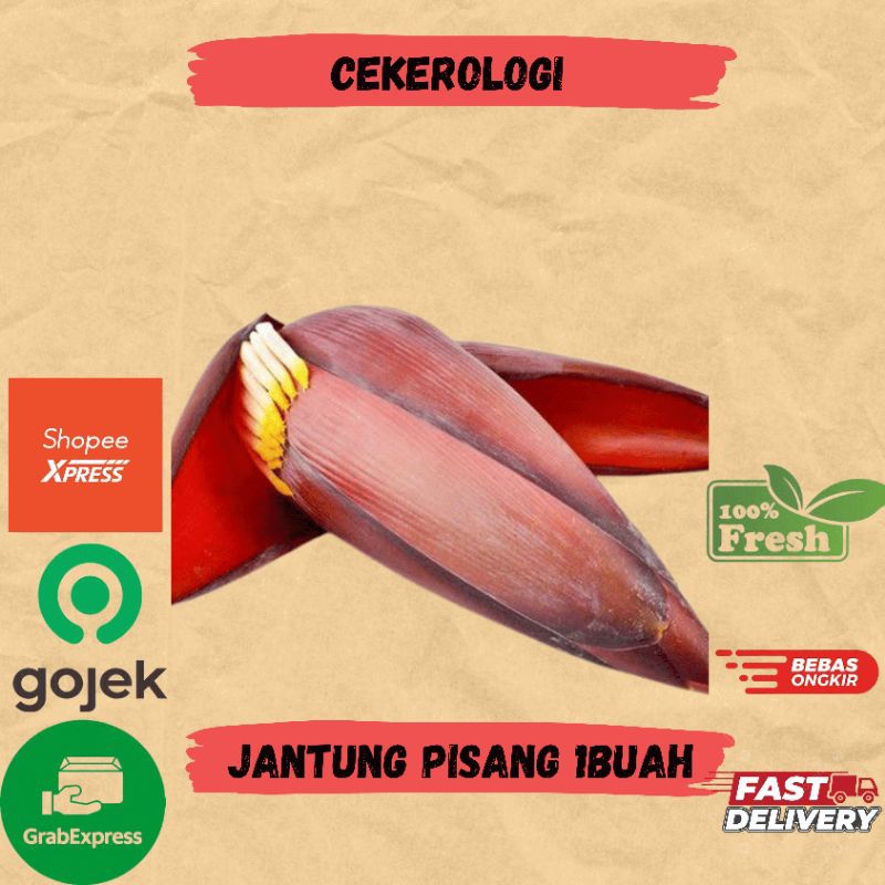 

Jantung Pisang 1buah / Jantung Pisang / Jantung Pisang Fresh Berkualitas / Sayur Segar / Sayuran / Sayur
