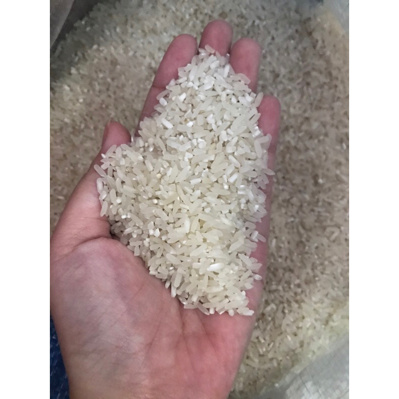 

Beras Pulen Enak & Empuk Kemasan 1kg