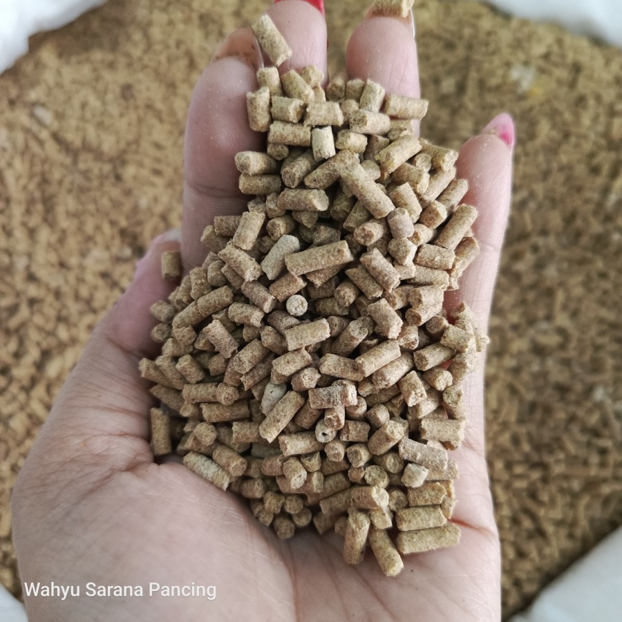 PAKAN IKAN DAN UMPAN MANCING LAJU-3 1 KG /500GR BOMAN MANCING