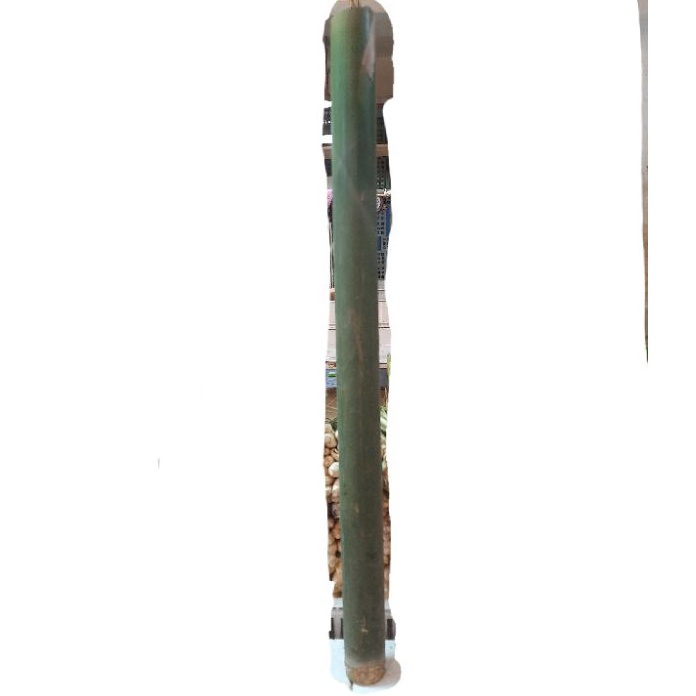 

Free Ongkir bambu 1 pcs untuk bakar lemang