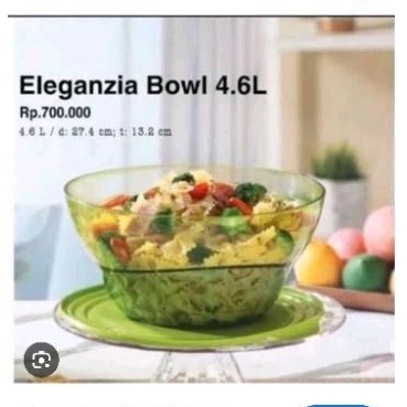 Eleganzia Bowl 4,6L