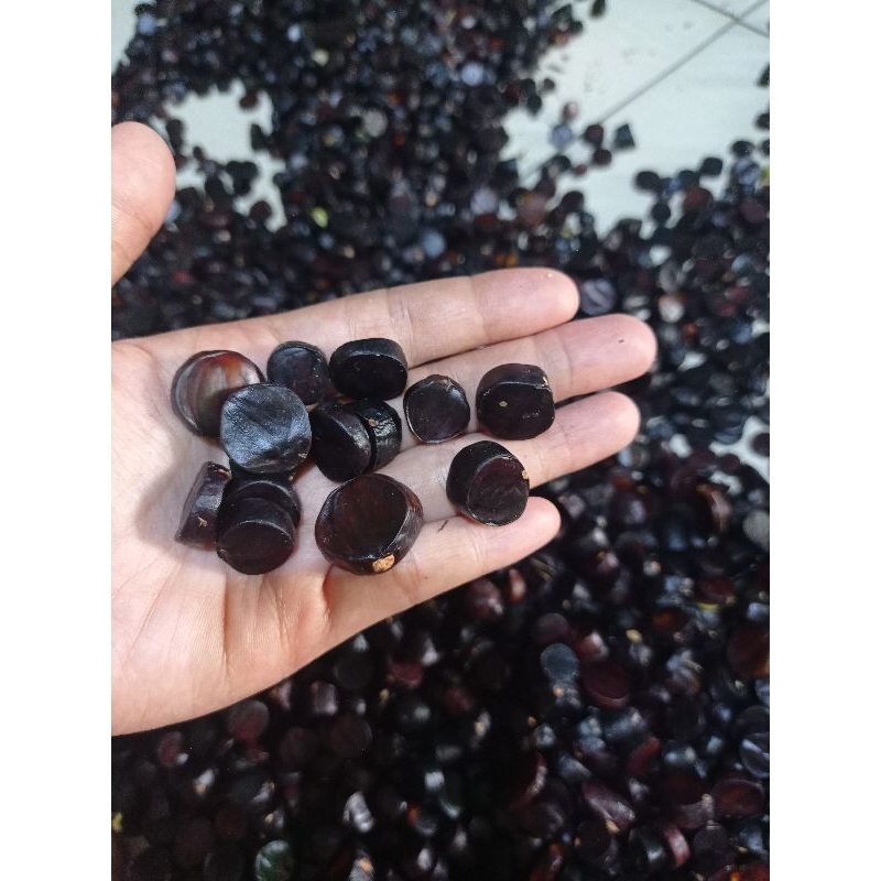 kabau jolang jaling habo tuo 500gr/ 1/2 kg