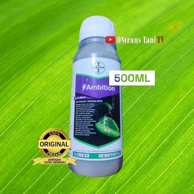 pupuk AMBITION 500ml bayer
