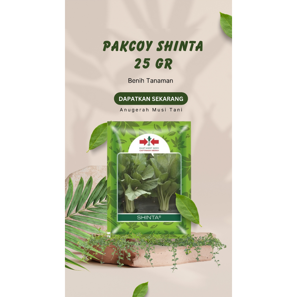 Pakcoy Shinta Panah Merah (25 Gram)