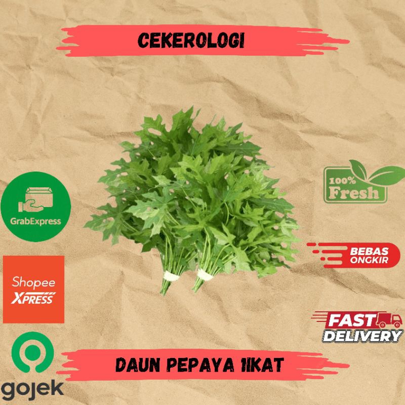 

Daun Pepaya 1ikat / Daun Pepaya / Daun Pepaya Fresh Berkualitas / JABODETABEK / Sayur Segar / Sayuran / Sayur