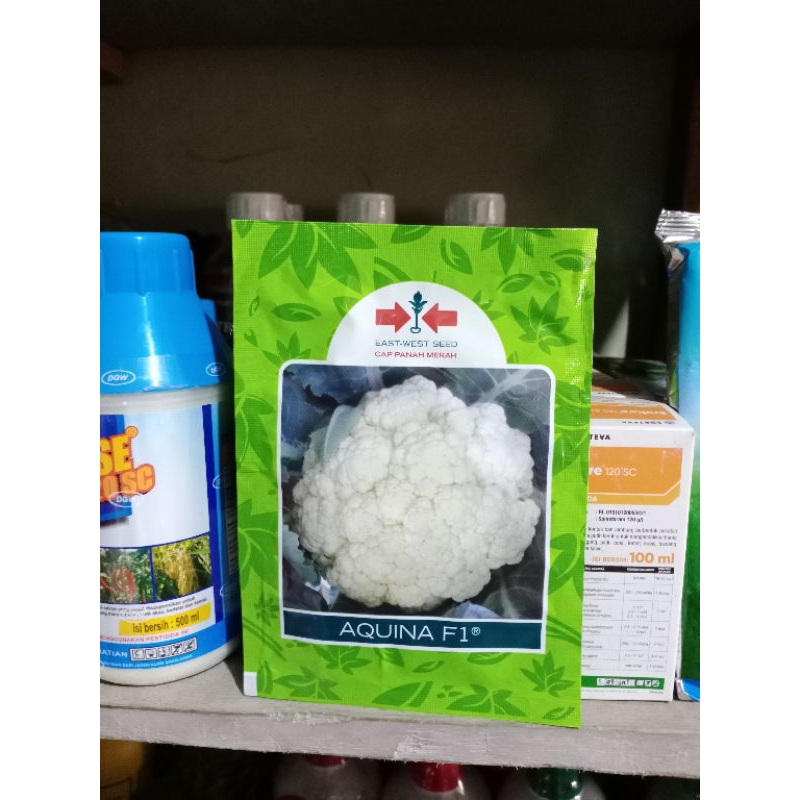 bibit/benih kembang kol AQUINA F 1 Cap Panah Merah 10 gram