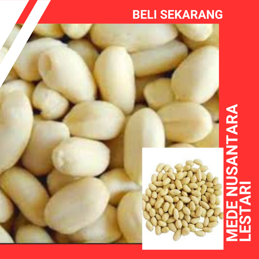 KACANG TANAH KUPAS MENTAH 1 KG / KACANG TANAH KUPAS JUMBO UKURAN 25-29