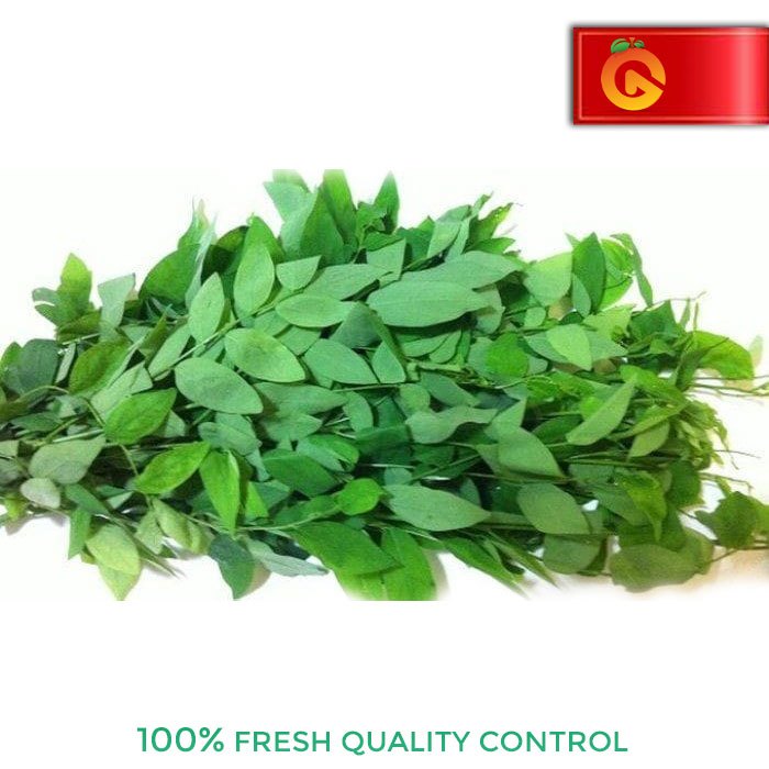 

SAYUR DAUN KATUK / IKAT