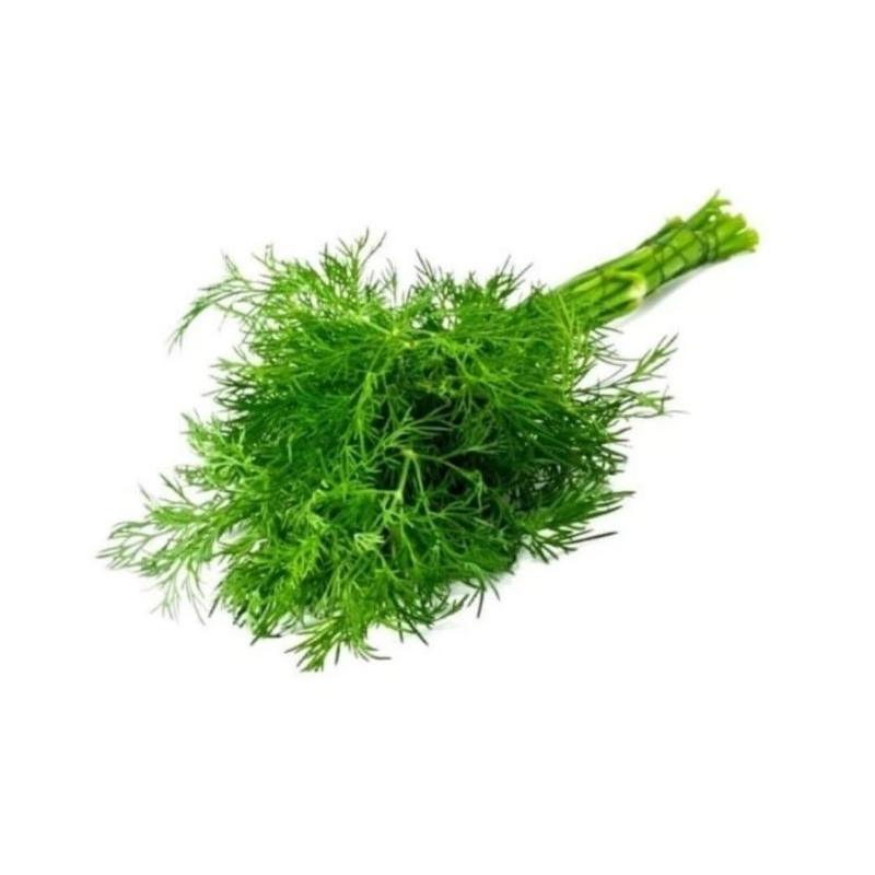 

Daun Dill Fresh