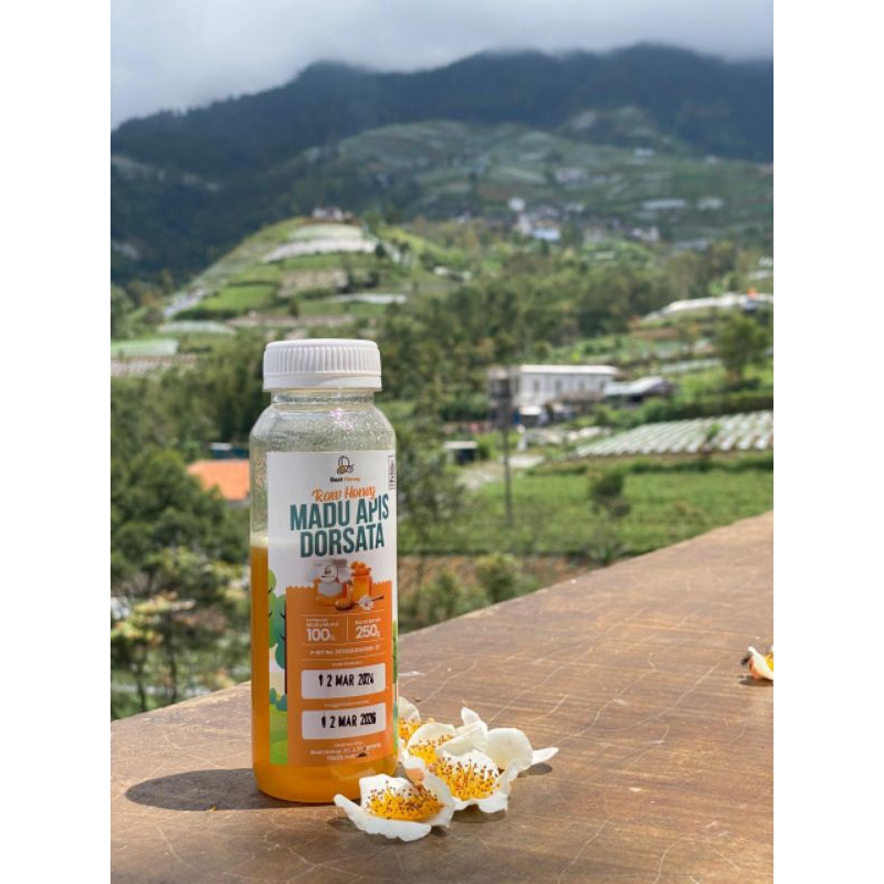 

Best Honey Madu Hutan Murni Lebah Apis Dorsata Nektar Multiflora 250g