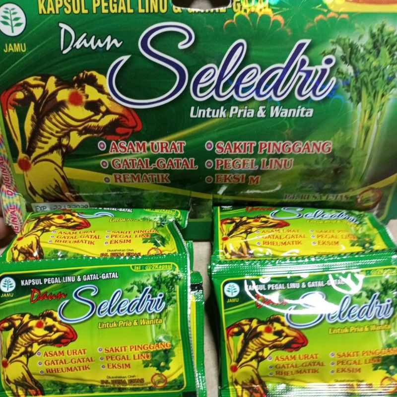 DAUN SELEDRI KAPSUL ISI 20 SACHET