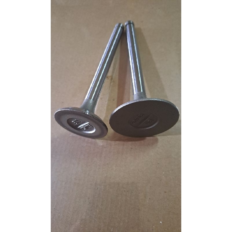 Klep Api & Minyak / Valve IN-EX - S1125/S1130 - Tianli1125/Tianli1130