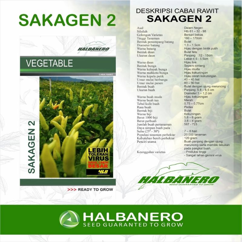 

Benih Cabai Rawit SAKAGEN 2 | 10 gram | EXP : 06-08-2024 (Jual Rugi)