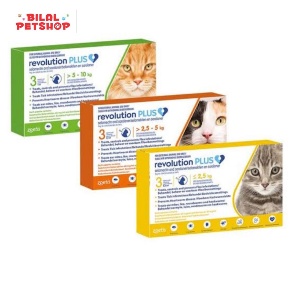 REVOLUTION PLUS CAT OBAT KUTU KUCING REVOLUTION